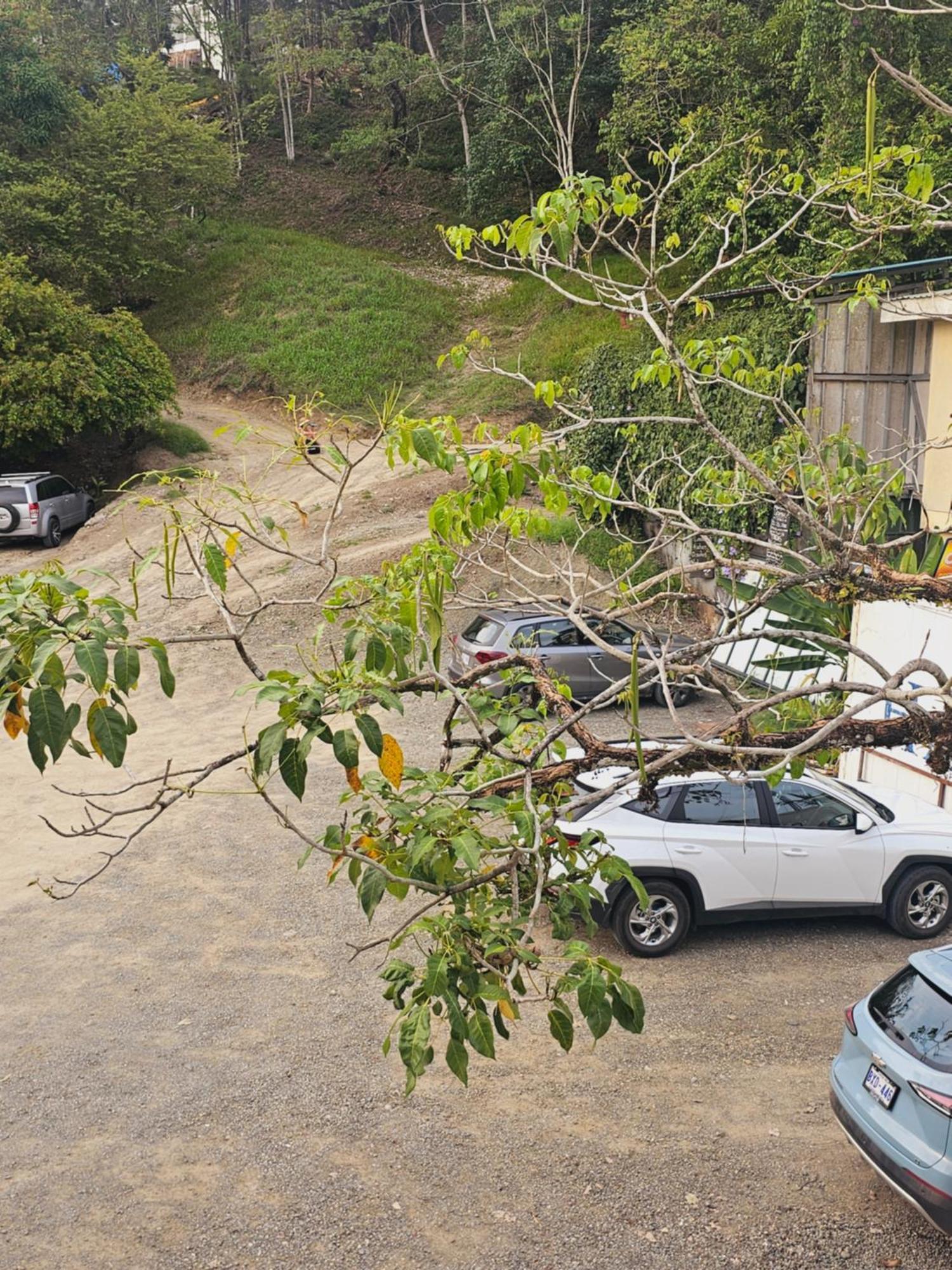 קפוס Pura Vida Apartments חדר תמונה
